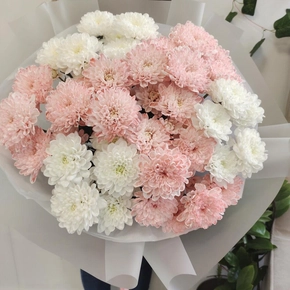 Большой букет из кустовых хризантем (розовых и белых)