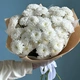 Хризантемы 7 шт