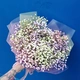 Букет-комплимент из цветной гипсофилы