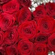 Сердце из роз «Магия Любви»
