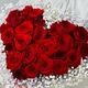Сердце из роз «Магия Любви»