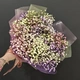 Букет-комплимент из цветной гипсофилы